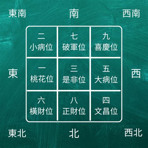 大門向西南2024|【龍震天】2024年龍年風水佈局、大門地氈顏色、特別佈局